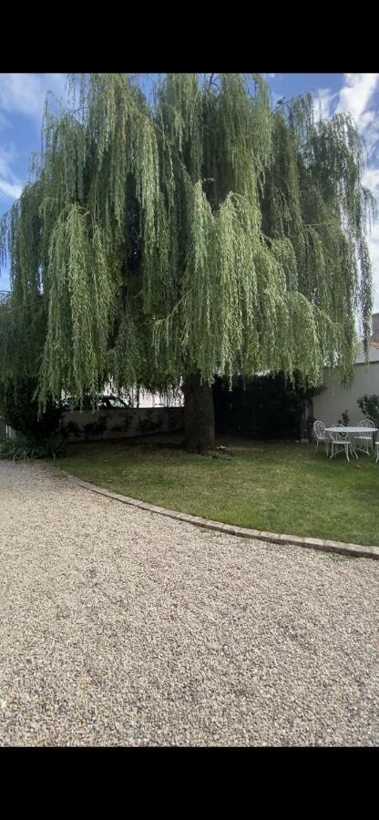Gite Des Colverts Lailly-en-Val ภายนอก รูปภาพ